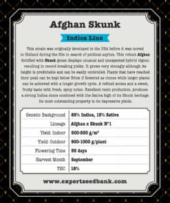 Skunks afgański