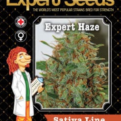 Expert Haze