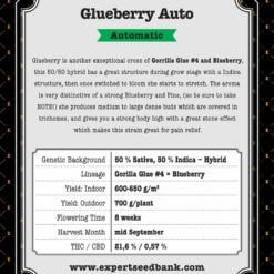 Glueberry Auto