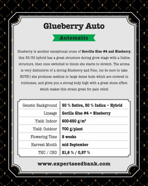 Glueberry Auto
