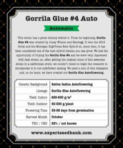 Gorrila Glue #4 Auto