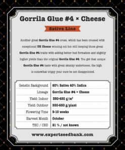 Gorrila Kleber #4 × Käse