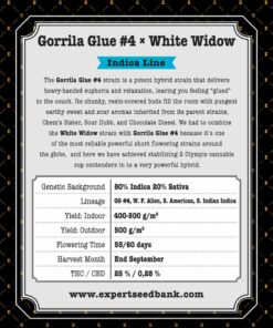 Gorrila-Kleber #4 × Weiße Witwe