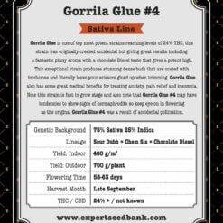 Gorrila Glue #4