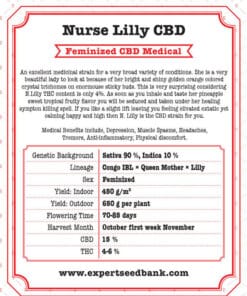 Krankenschwester Lilly CBD
