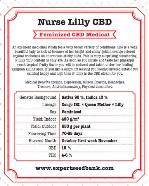 Infirmière Lilly CBD