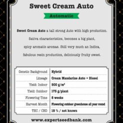 Sweet Cream Auto
