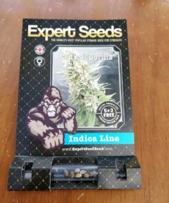 Gorilla Critical Expert Seeds Packungsgröße 1