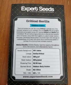 Gorilla Critical Expert Seeds Pack Size 2