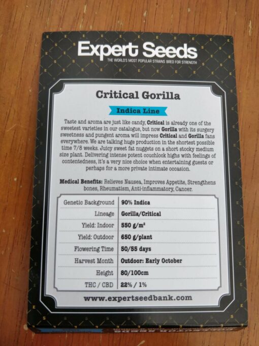 Gorilla Critical Expert Seeds Pack Size 2