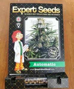 Lemon Haze Auto Expert Seeds