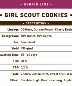 Печенье для девочек-скаутов