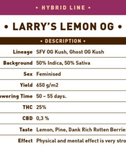 Larry&#039;s Lemon OG