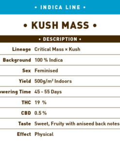 Kush Mass