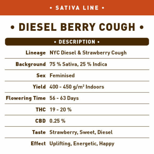 Diesel Berry Cough