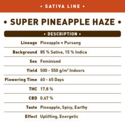 Super Pineapple Haze
