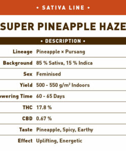 Super Ananas Haze
