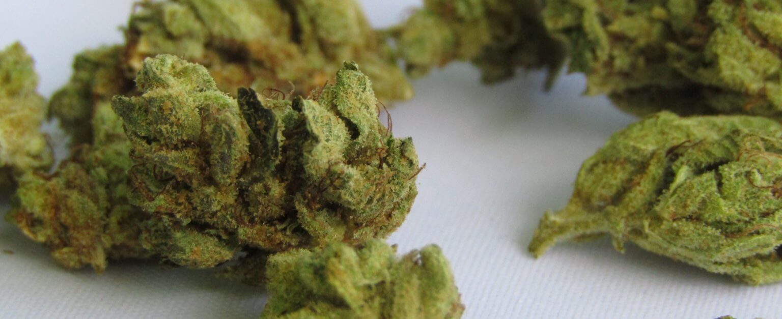 How to Dry Ganja for Maximum Flavor and Terpene Preservation