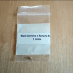 Black Domina x Banana Kush Seeds Foto Bewertung