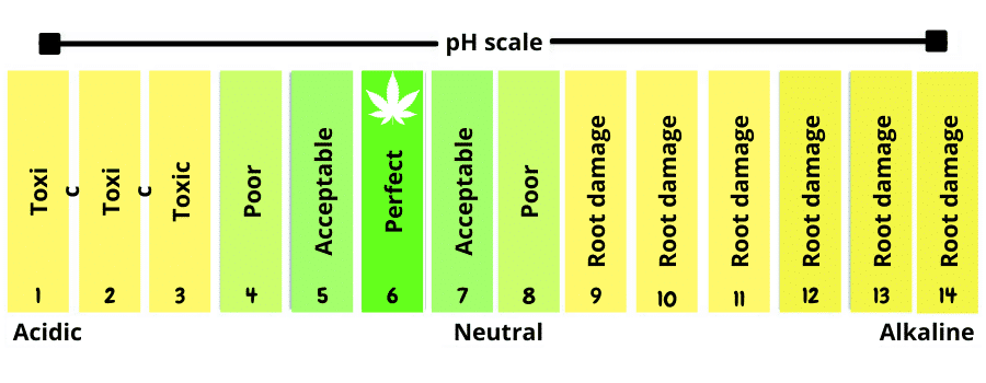 Nutrients and pH levels for cannabis