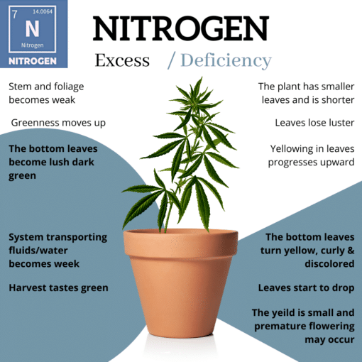 Deficiencies Guide [Leaves, Nutrients & Charts Explained]! Expert