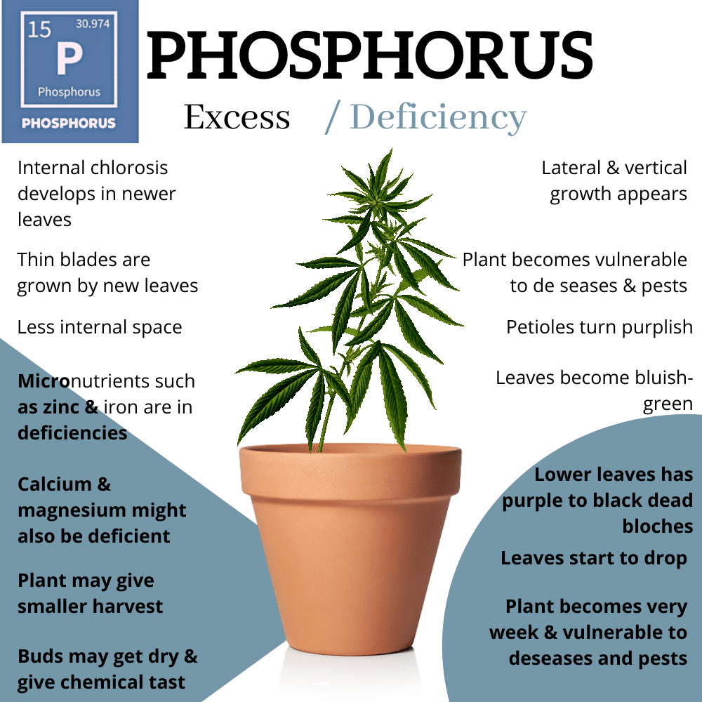 phosphorium