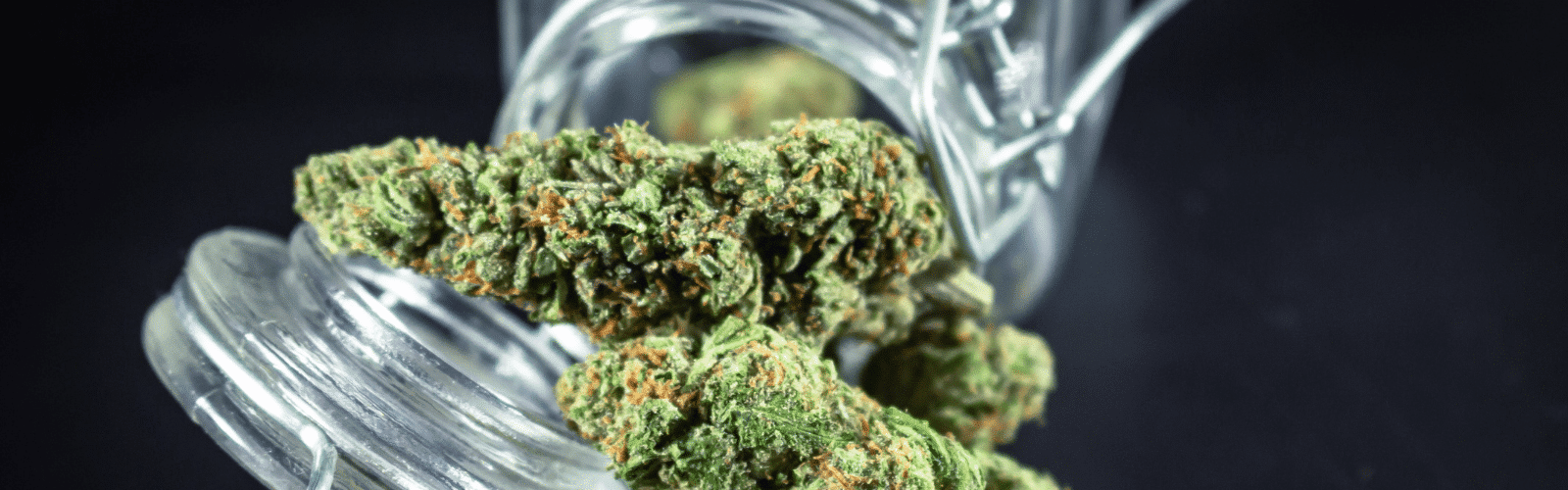 40 por ciento de trenes de cannabis