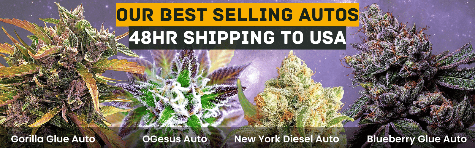 bestseller Auto Cannabis