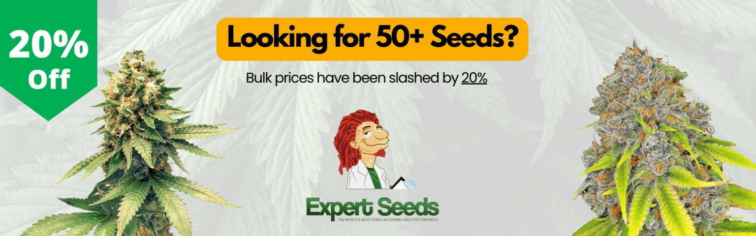 Expert Seed Bank | Premium Cannabis Seeds | FREE Shipping