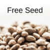 Free cannabis Seed