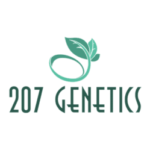 207-Logo-300x249