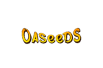 asset-13