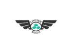 asset-6