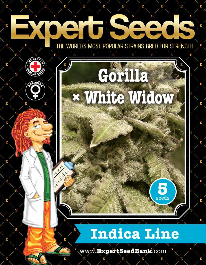 GG4 ? White Widow Seeds - Image 2