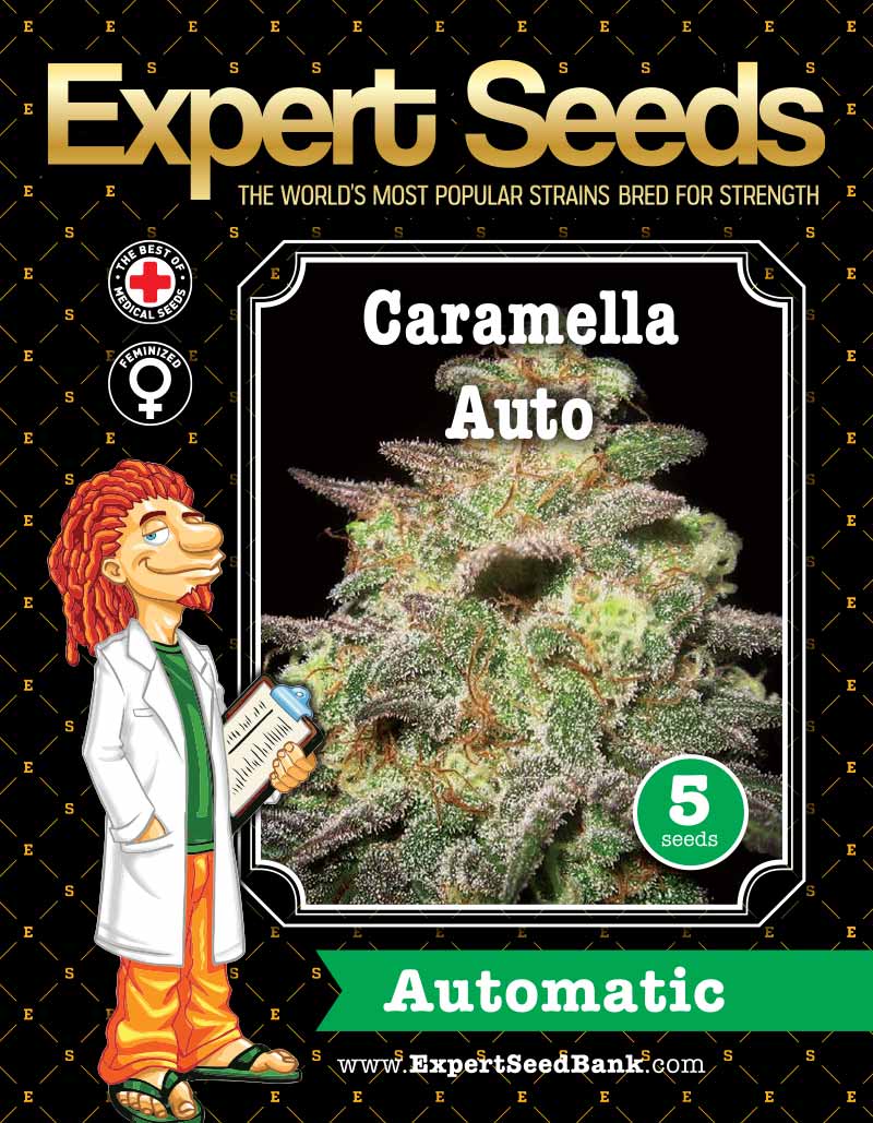 Caramella Auto Seeds - Image 2