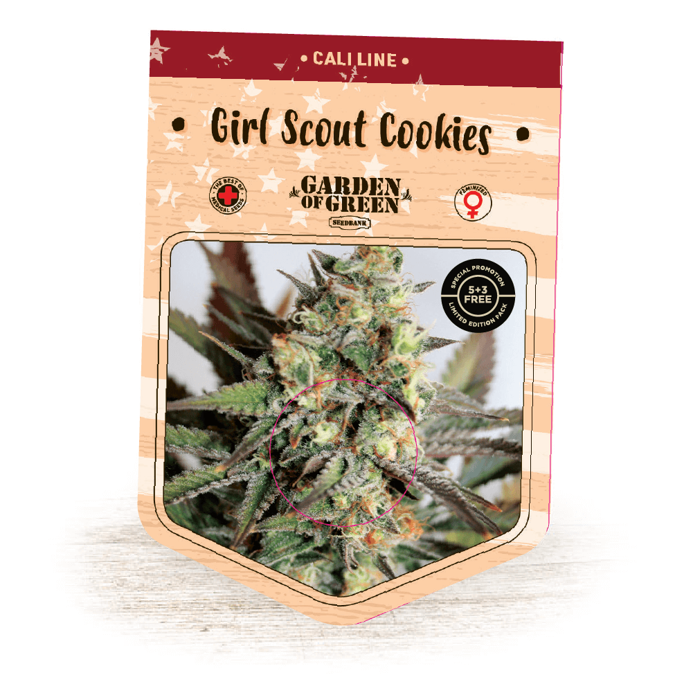 Girl Scout Cookies Seeds