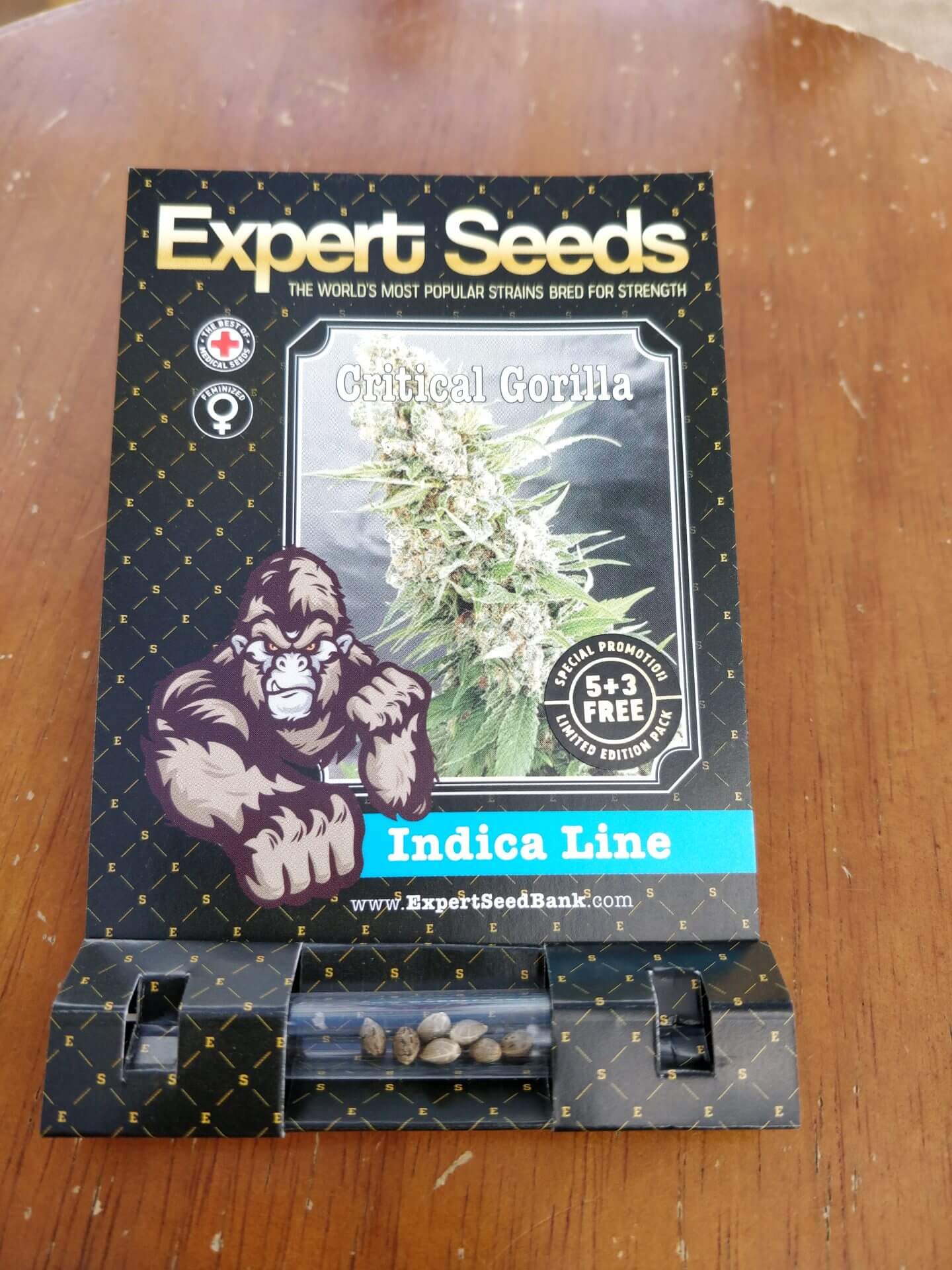 Critical GG4 Seeds - Image 2