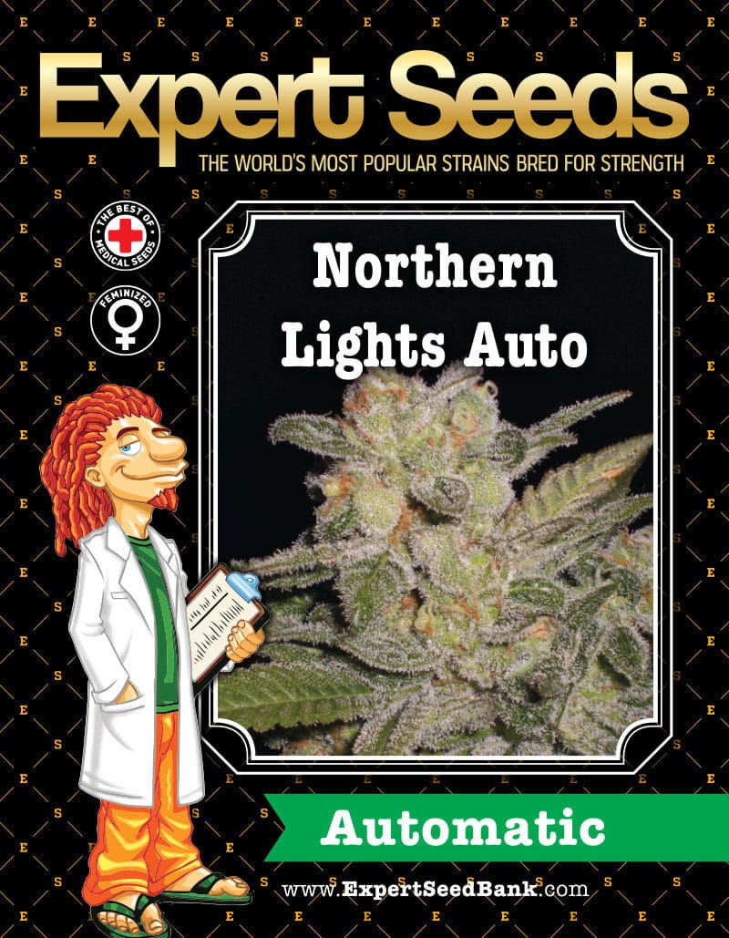 Northern Lights Auto Seeds - Image 2