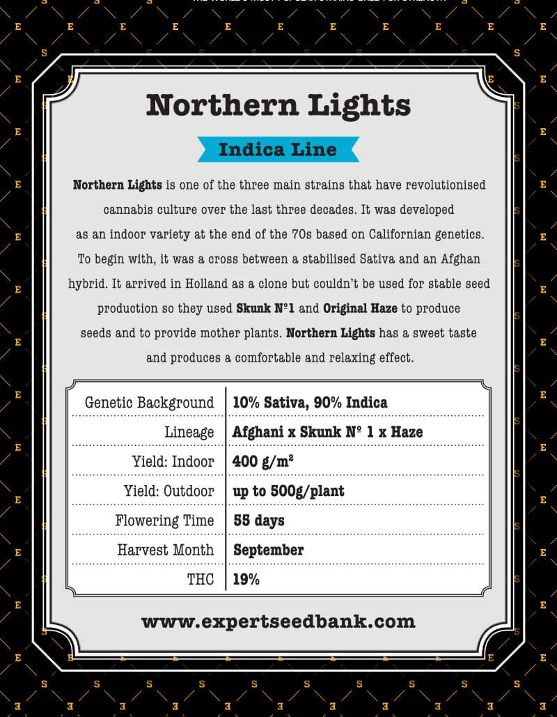 Northern Lights Seeds - Image 3