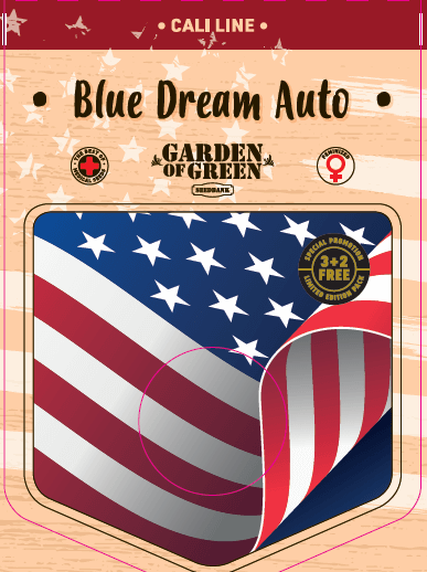 Blue Dream Auto Seeds - Image 2