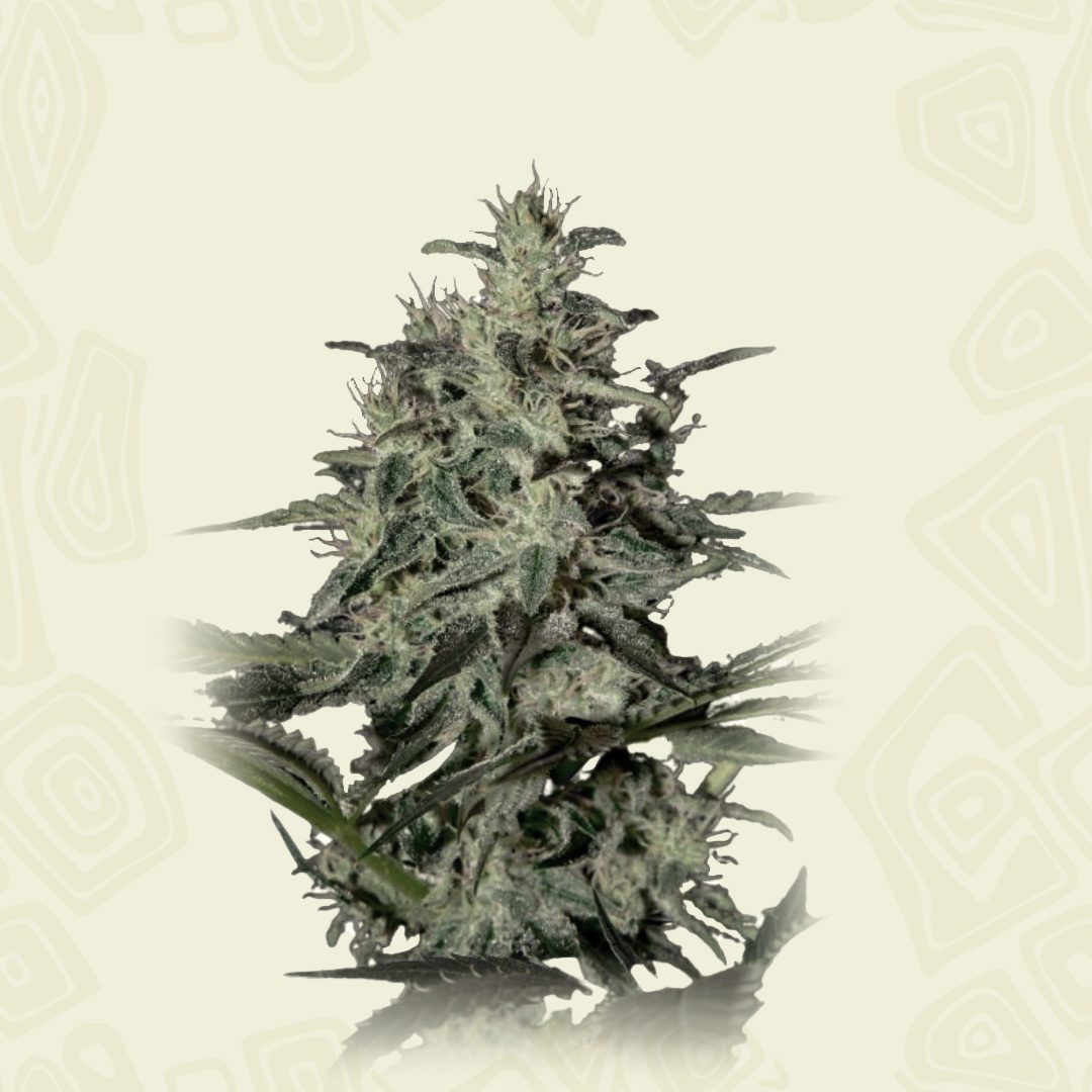 Bubba Lemon