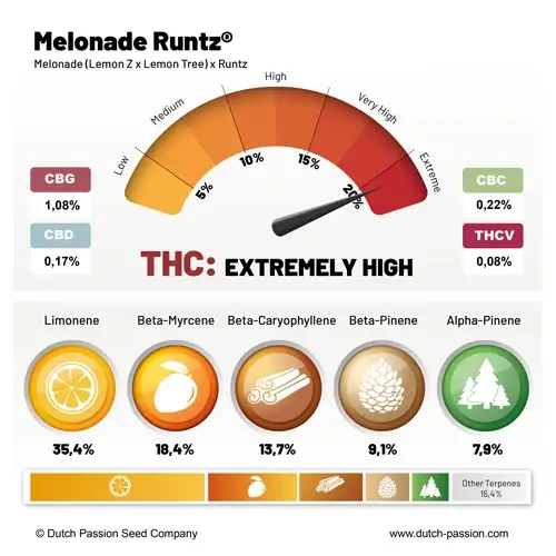 Melonade Runtz - Image 2