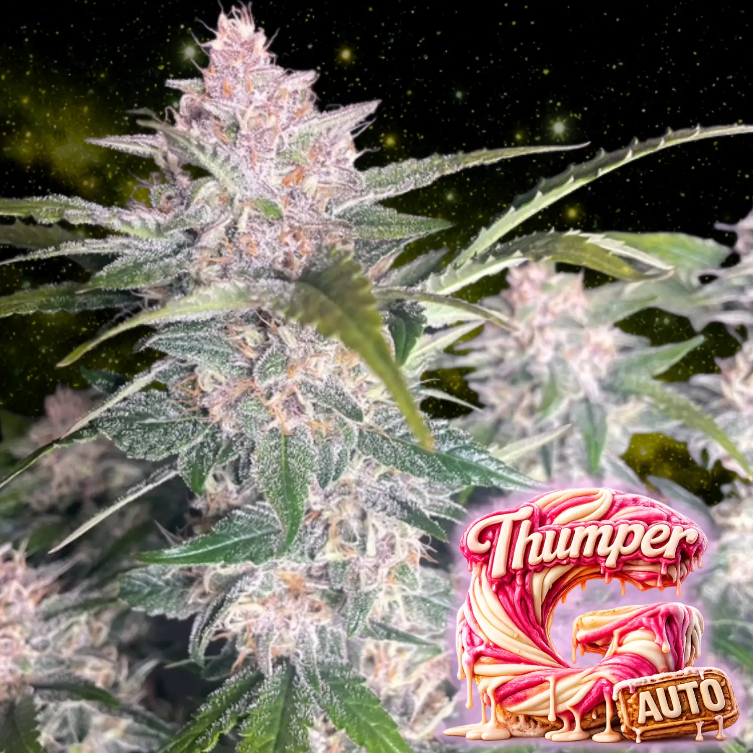 G-Thumper Auto - Image 3