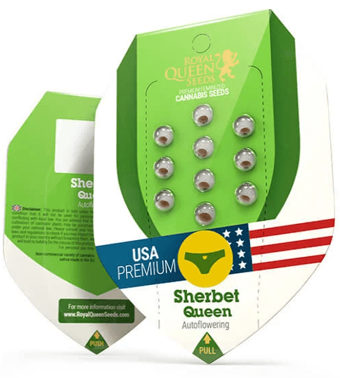 Sherbet Queen Automatic Seeds - Image 2
